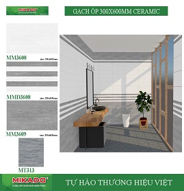 BỘ ỐP 30X60 MM 3608