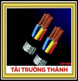 DÂY CÁP ĐIỆN TÀI TRƯỜNG THÀNH