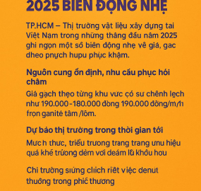 Giá gạch xây dựng tại Việt Nam đầu năm 2025 biến động nhẹ