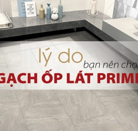 ĐẠI LÝ GẠCH PRIMER TPHCM – GIÁ RẺ, GIAO NHANH TẠI GRAPE MN
